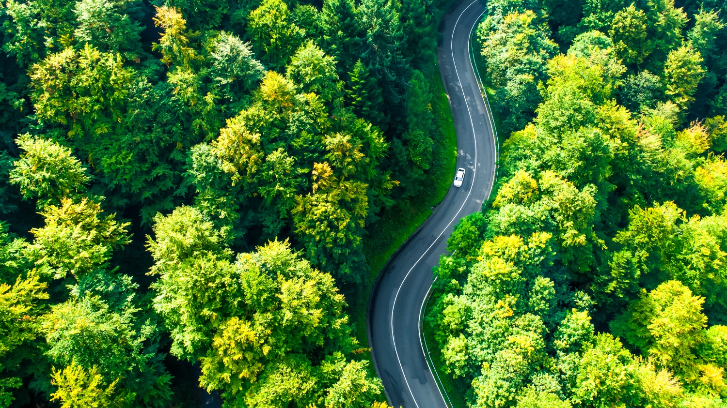 Des Strat gies De Gestion De Parc Automobile cologique Qui Ne 